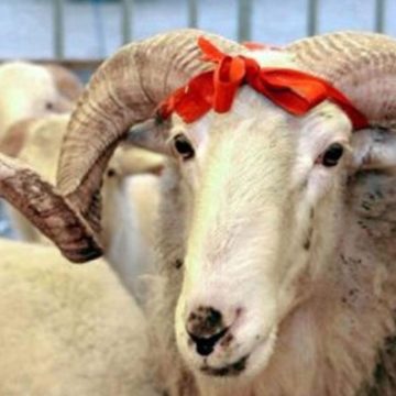 В Джанкойском районе Крыма местные власти не согласовали проведение праздника «Курбан байрам»